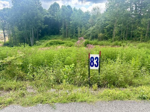 Residential Building Lots in Corbin