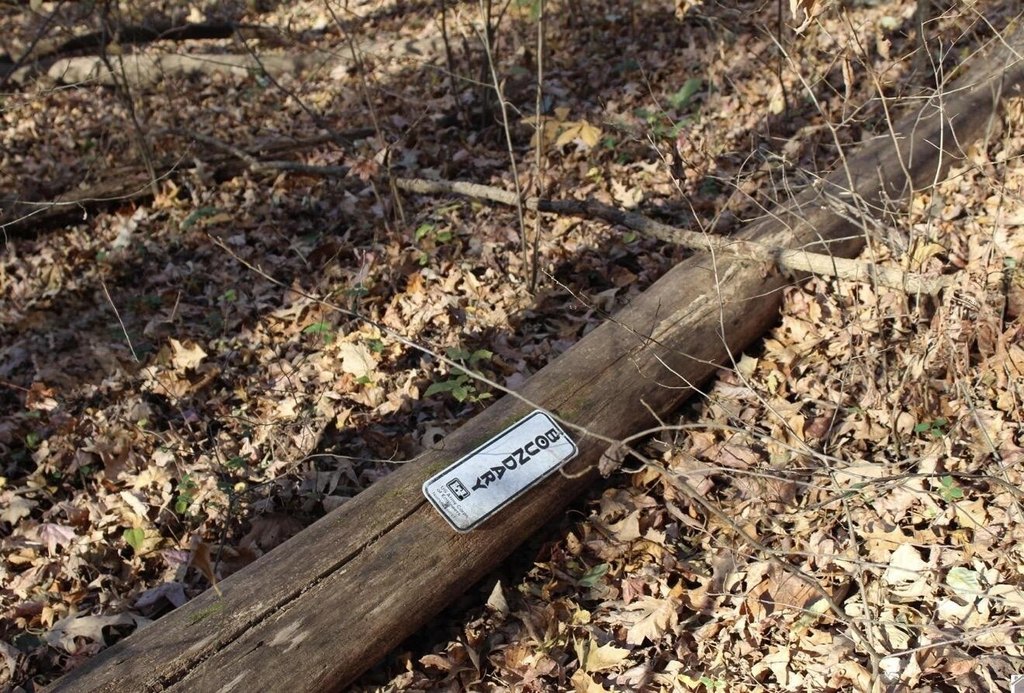 Picture 5
