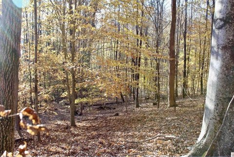 Land, Eddyville, KY
