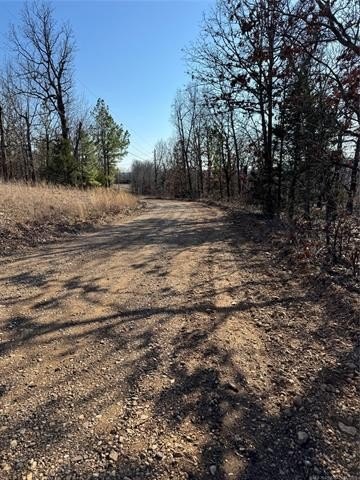 Picture 4