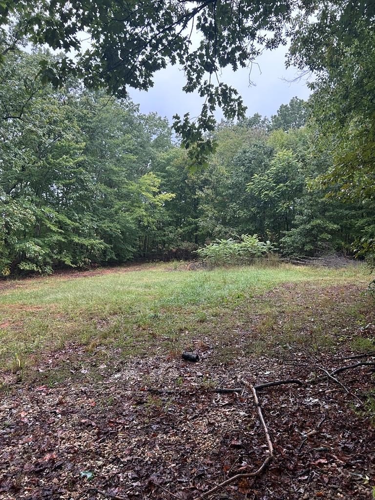Land For Sale, Buckingham, VA