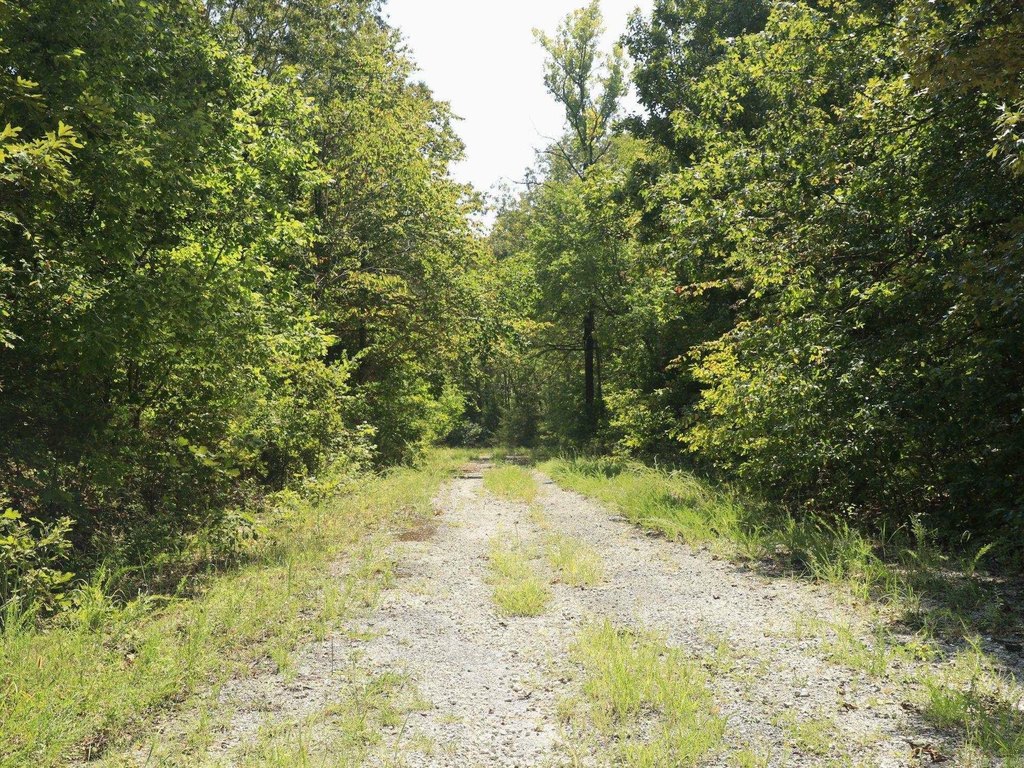 Picture 4