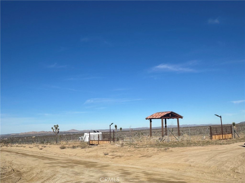 Picture 21