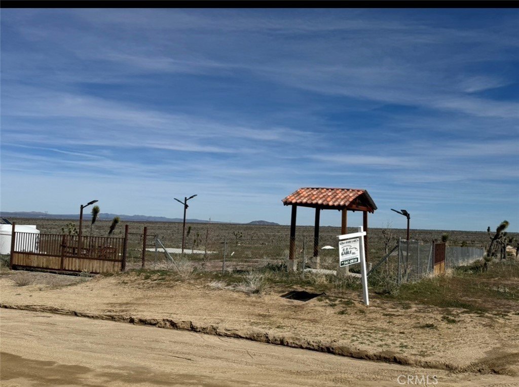 Picture 6