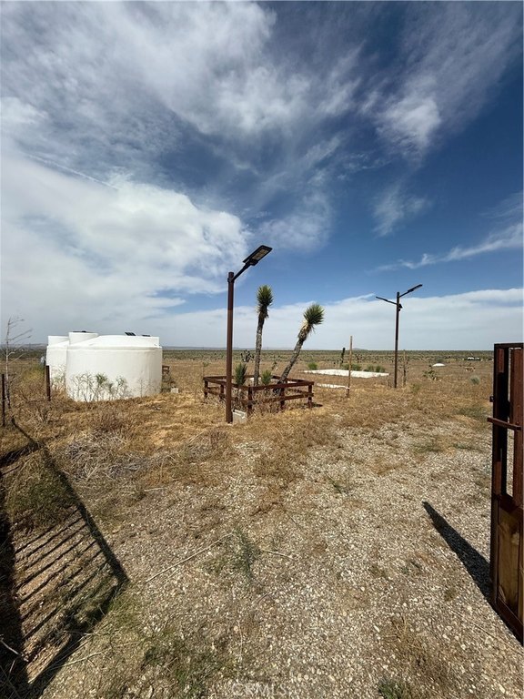 Picture 19