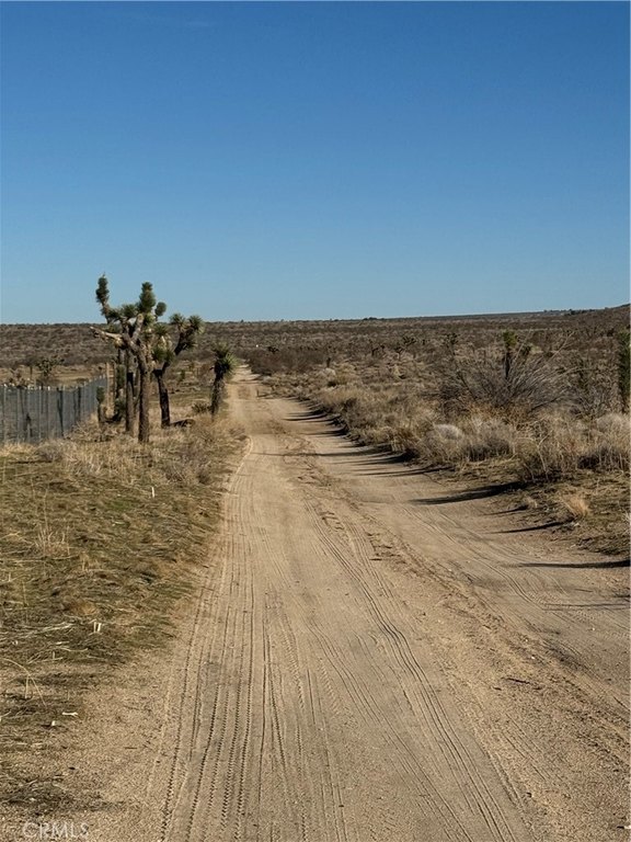 Picture 28