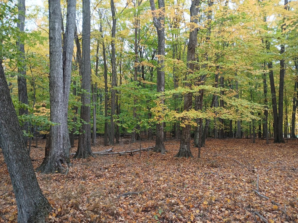 Picture 10