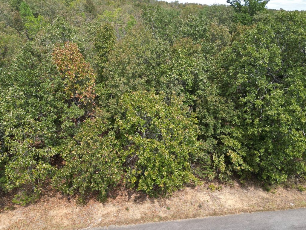 Picture 8