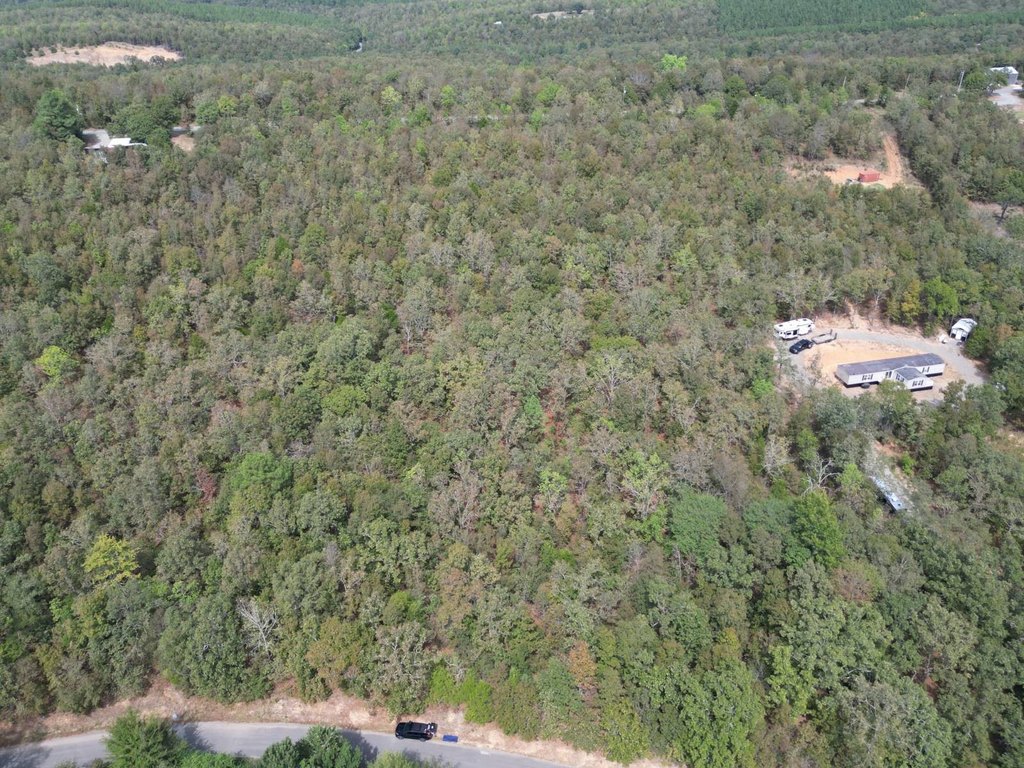 Picture 14
