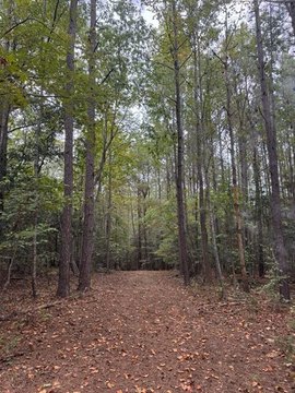 Land, Zebulon, NC