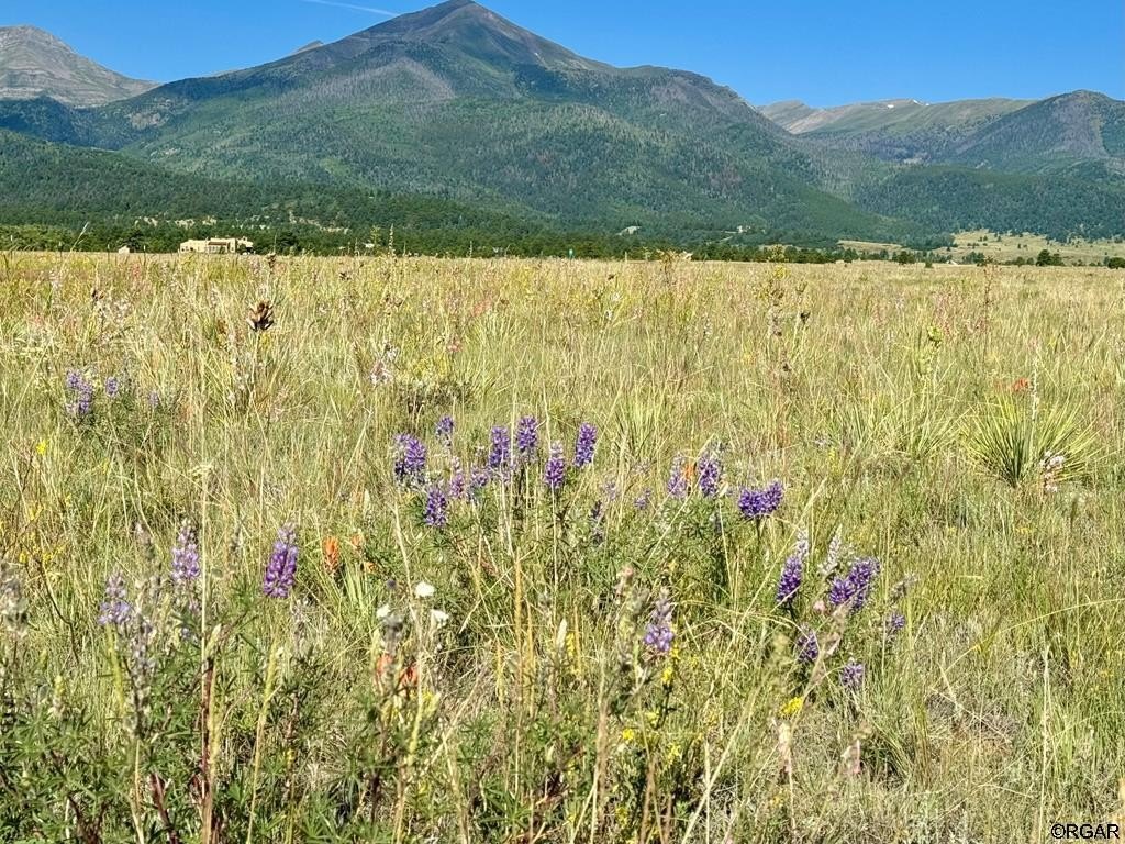 Expansive Land with Mountain Views