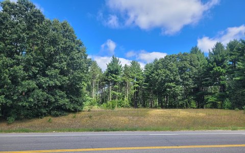 Land, Howard City, MI