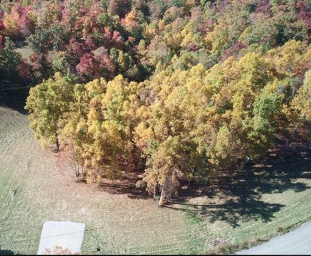 Land, Jamestown, TN