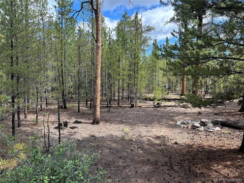 Land, Twin Lakes, CO