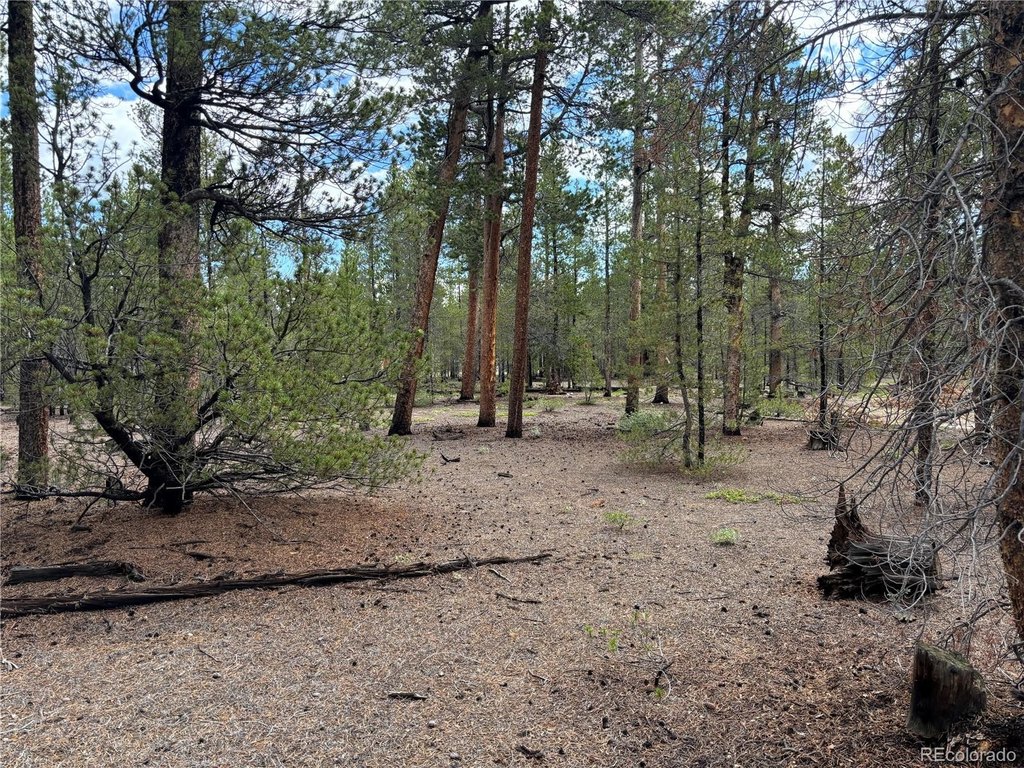 Picture 19