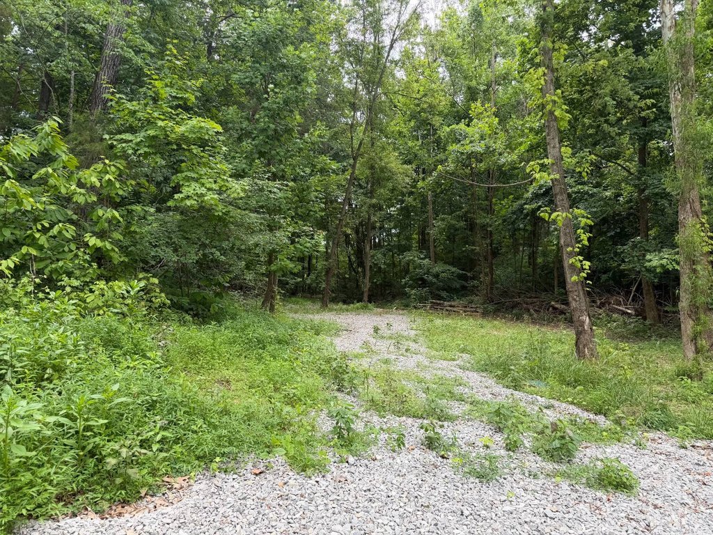 Picture 14