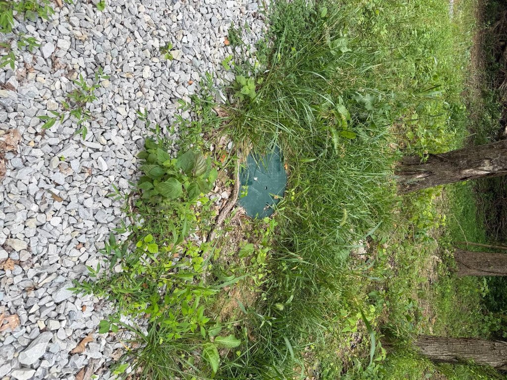 Picture 13