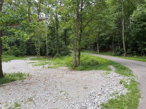Vacant Land - Albany, KY