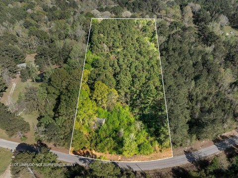 Pinola, MS Unrestricted Land
