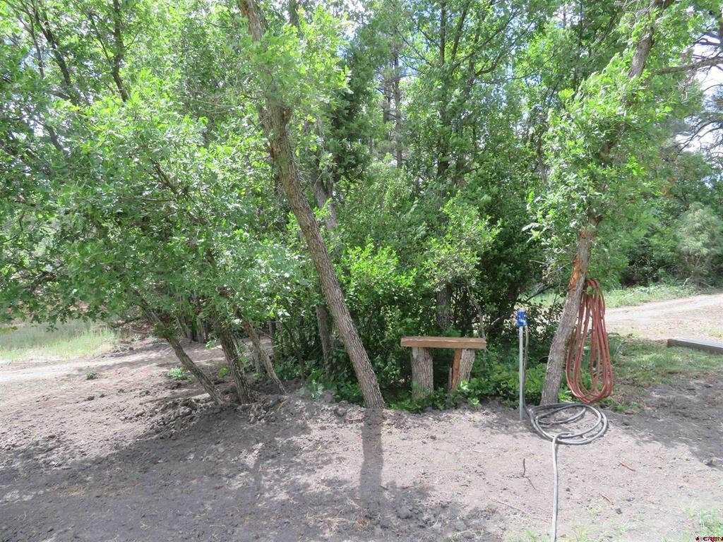 Picture 17