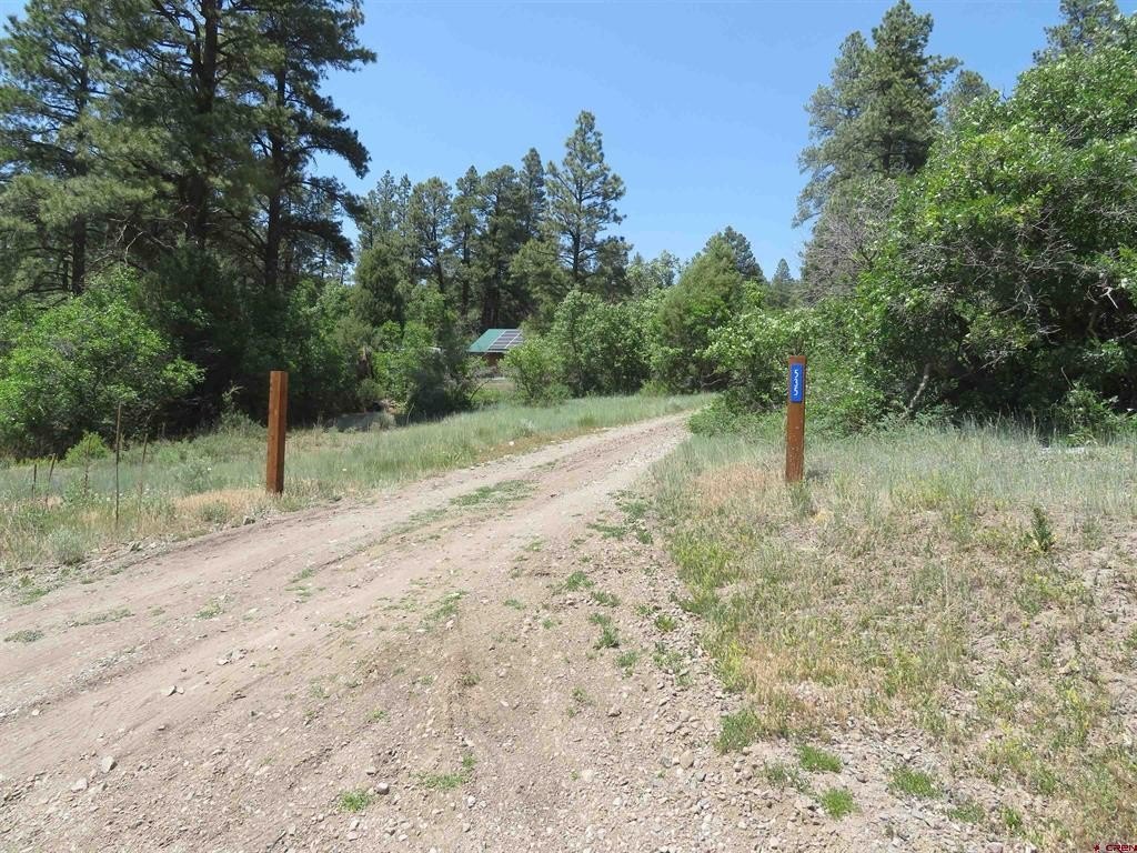 Picture 25