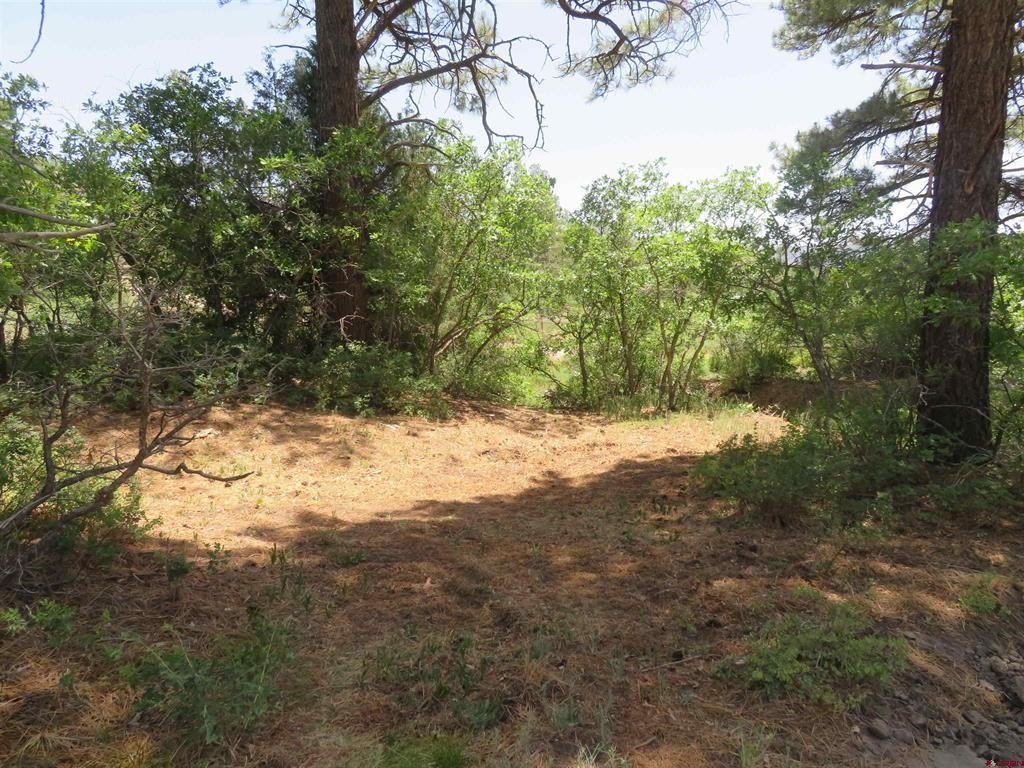 Picture 22