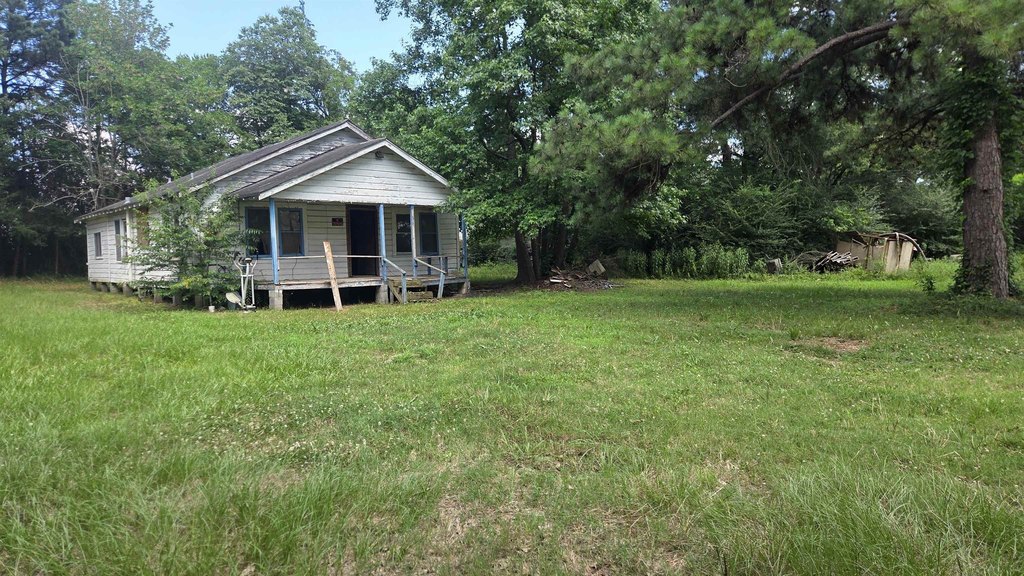 Picture 3