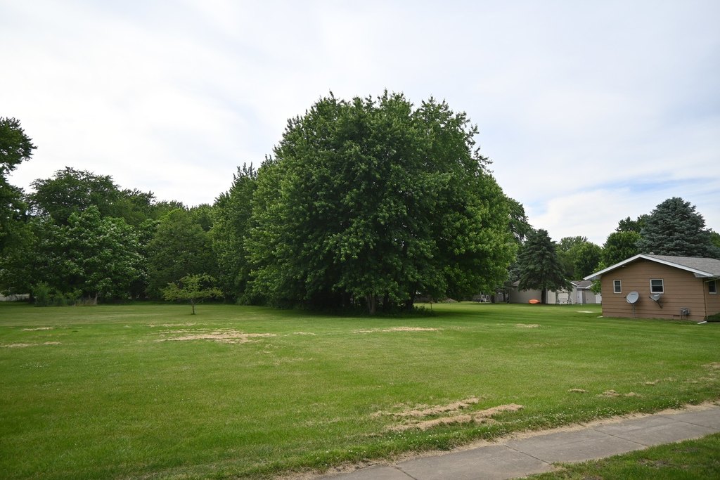 Picture 3
