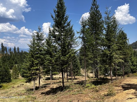 Sagle, ID 10-Acre Land
