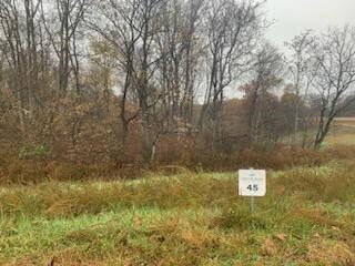 Smith Mountain Lake Building Lot