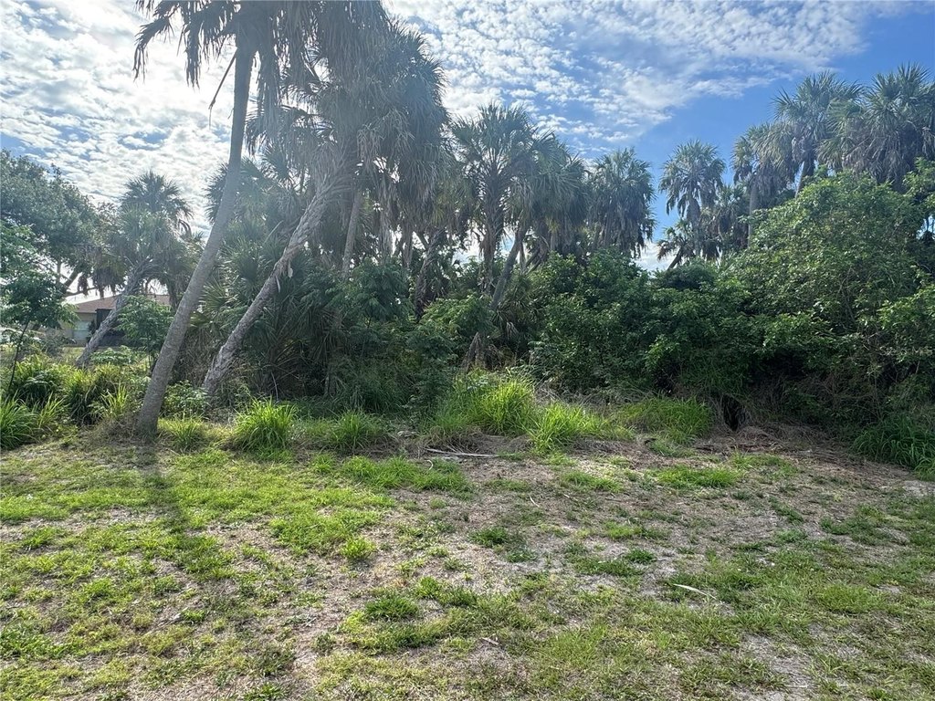 Picture 4