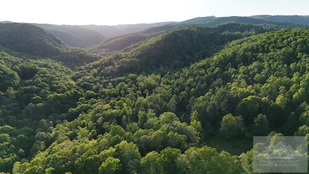 Unrestricted Land with Mountain Creek