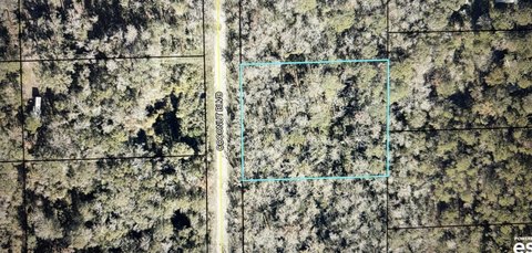 LOTS AND LAND, Bunnell, FL