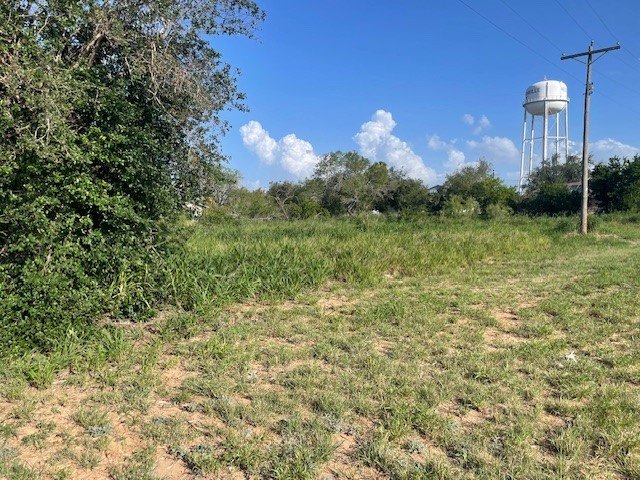 Two Lots in Hebbronville, TX