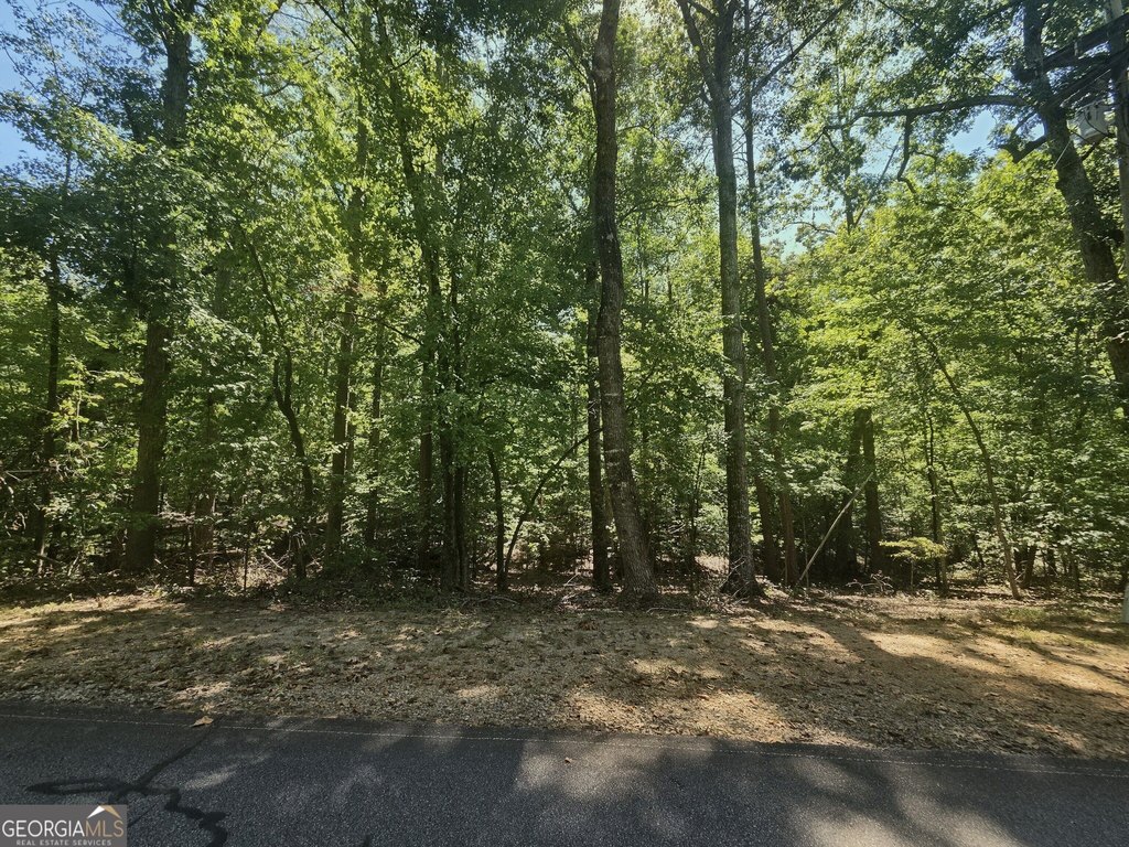 Picture 12