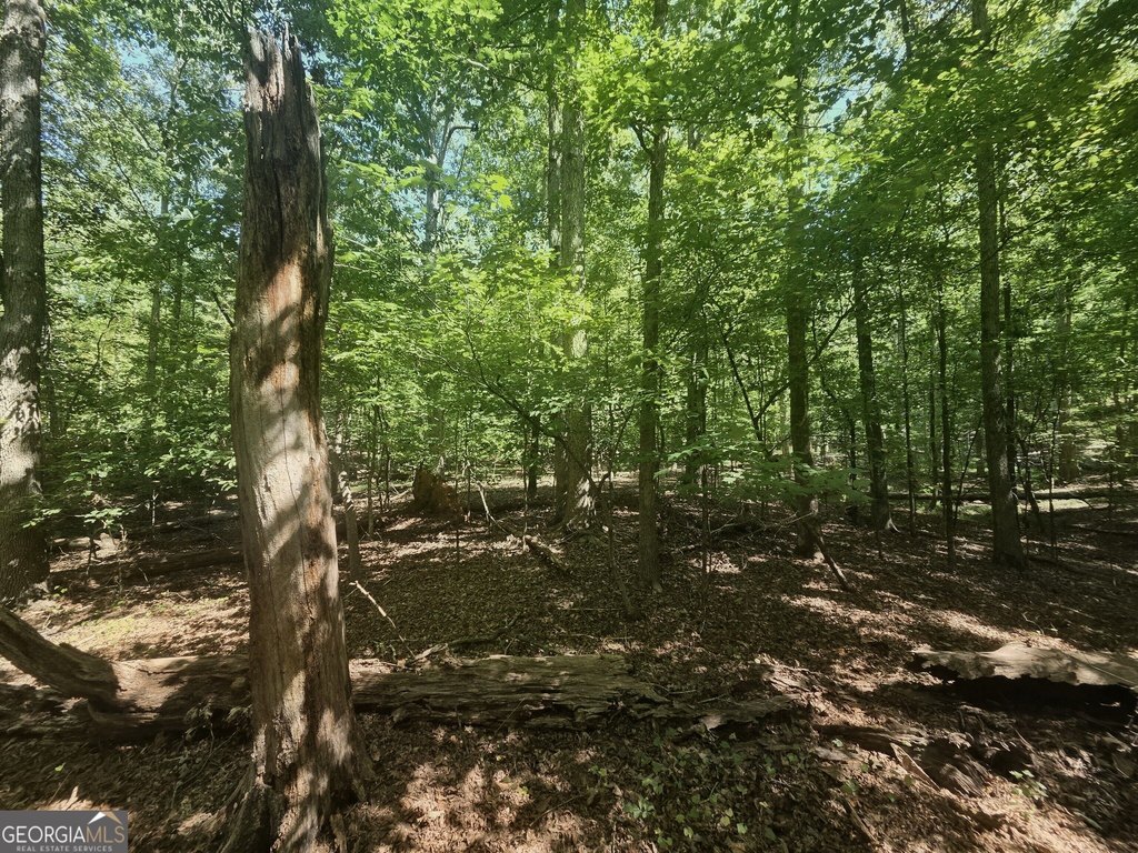 Picture 16