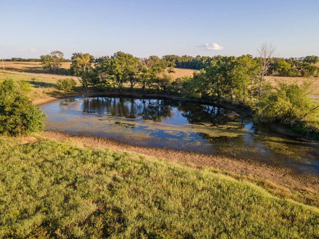Picture 32