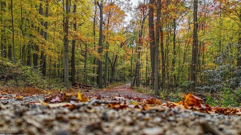 Residential Land Near Cheat Lake
