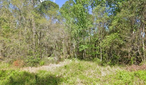 Land, GEORGETOWN, FL