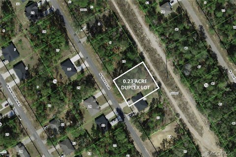 Citrus Springs Multi-Family Land