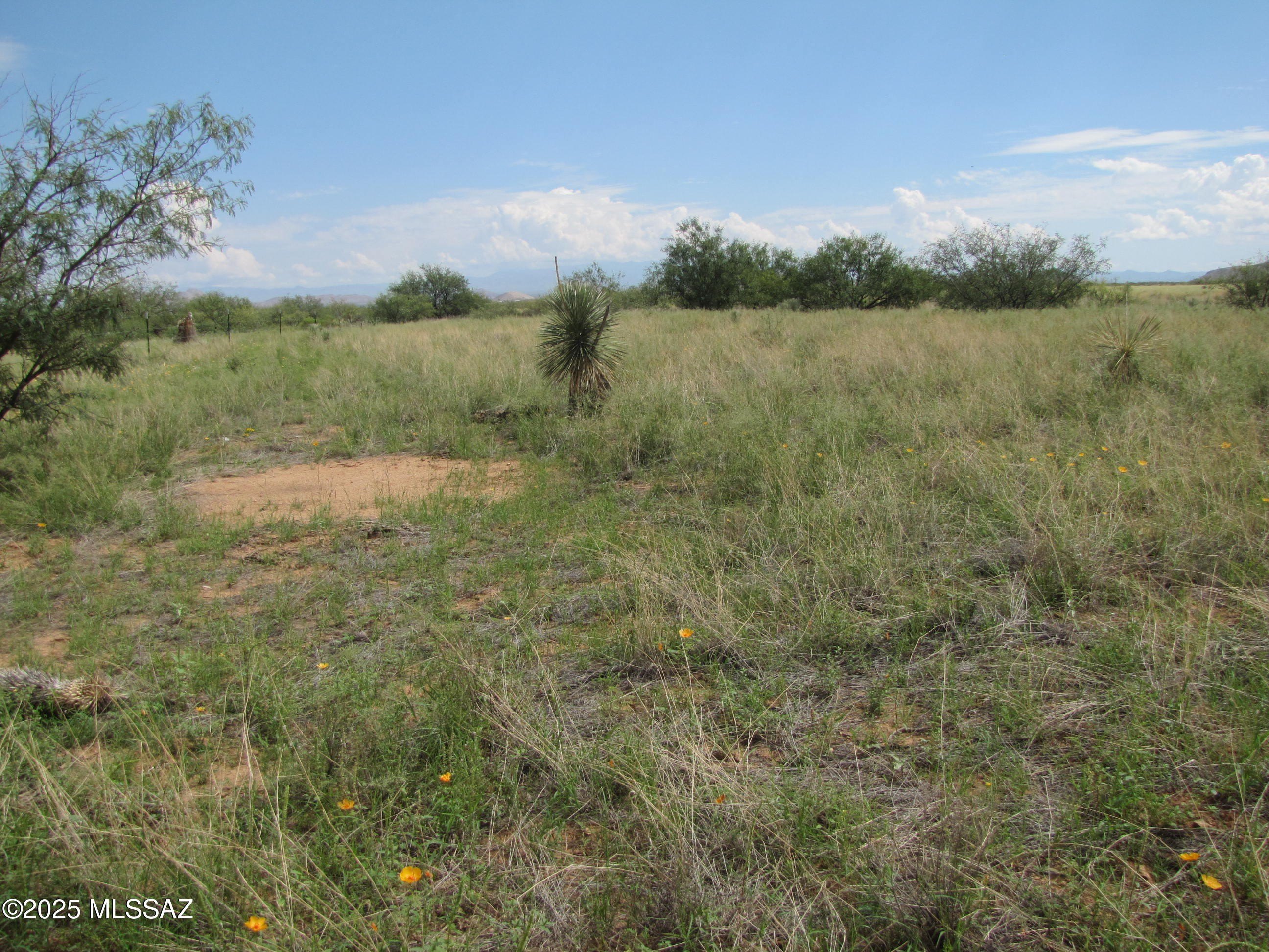 Residential Lots with Mountain Views