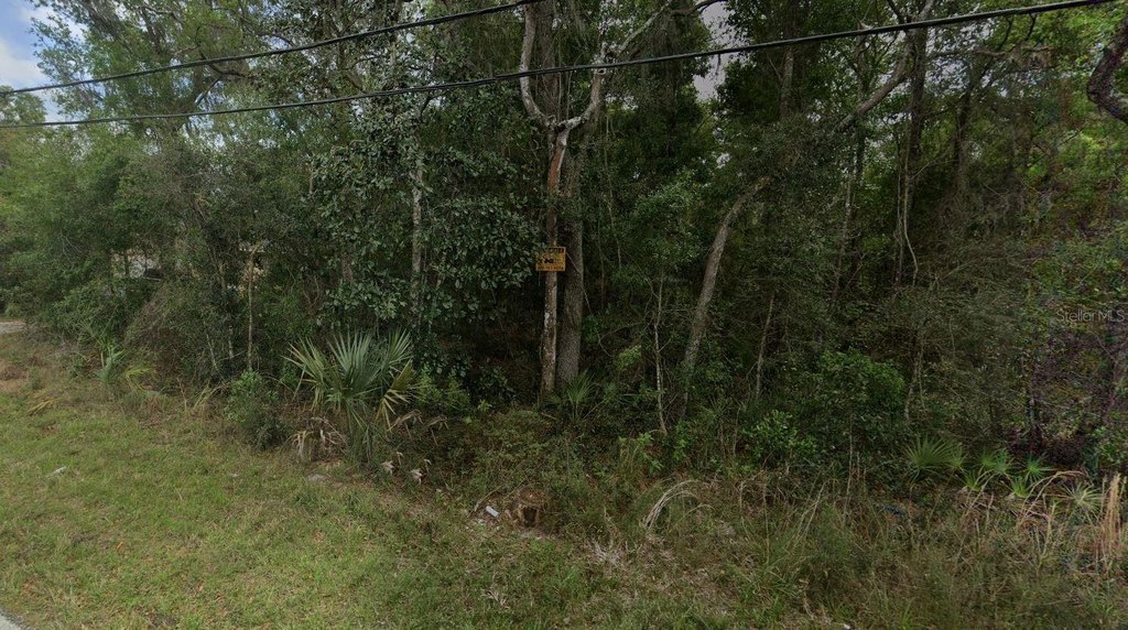 Picture 2