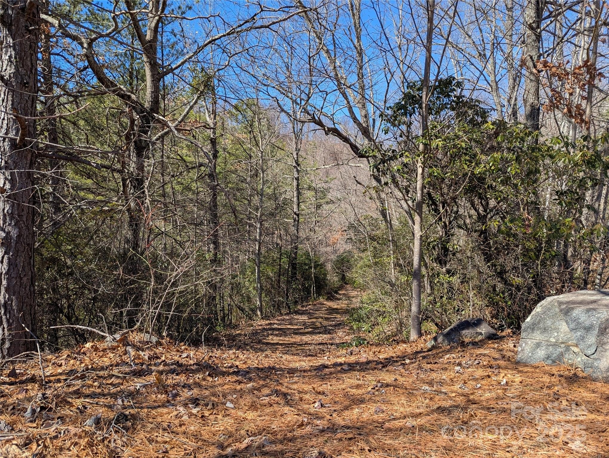 Buildable Lot in Gated Community