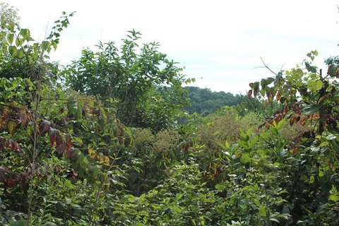 Waterfront Recreation Land Lot