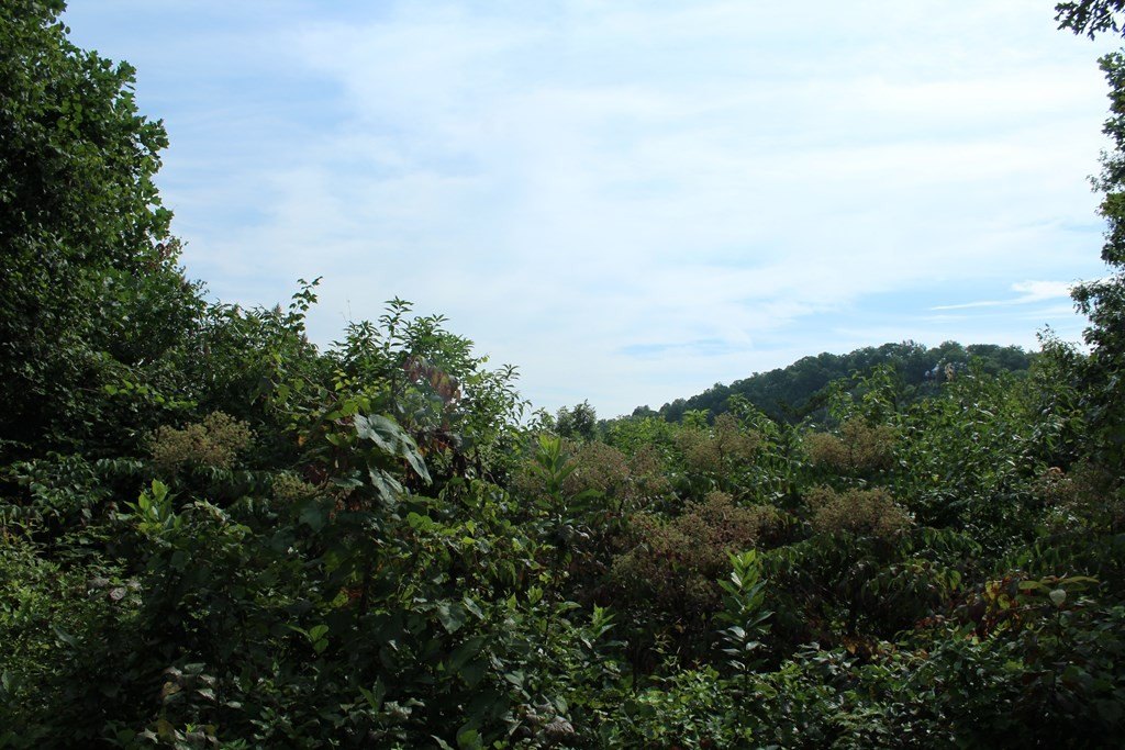 Picture 3