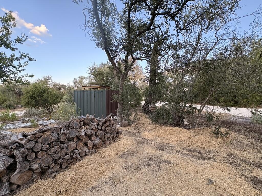 Picture 30