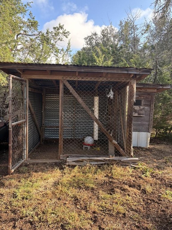 Picture 6