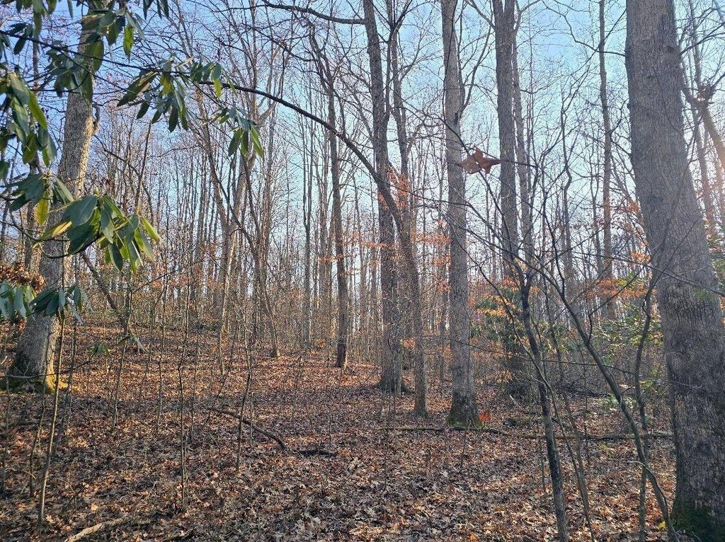 Picture 9