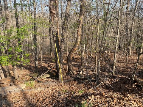 Residential Lots in Bella Vista