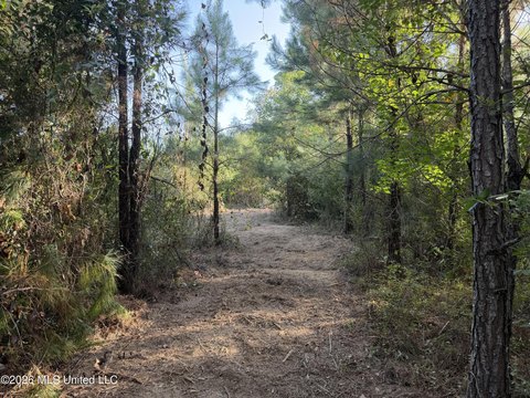 Land, Summit, MS